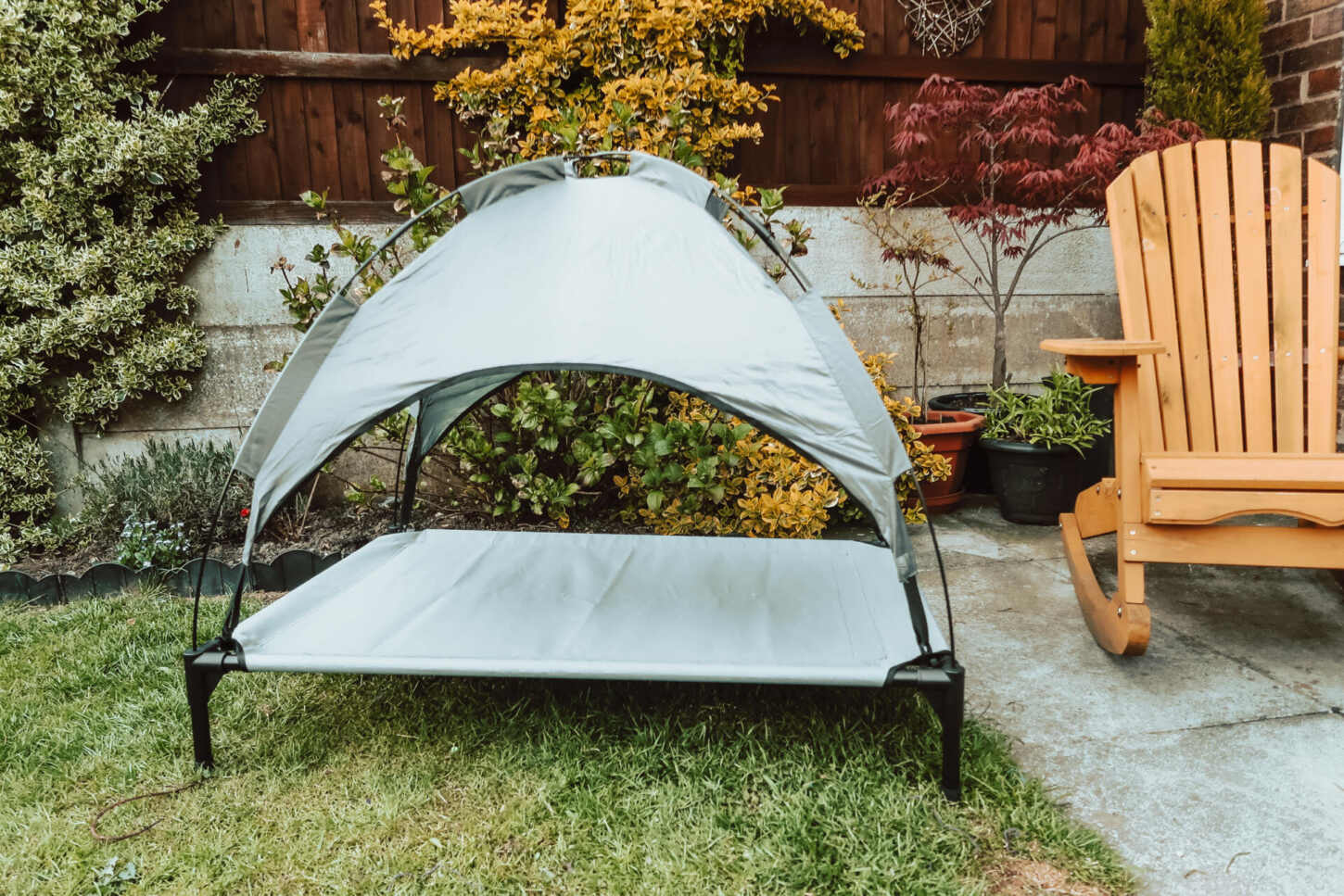 Garden dog best sale bed with canopy