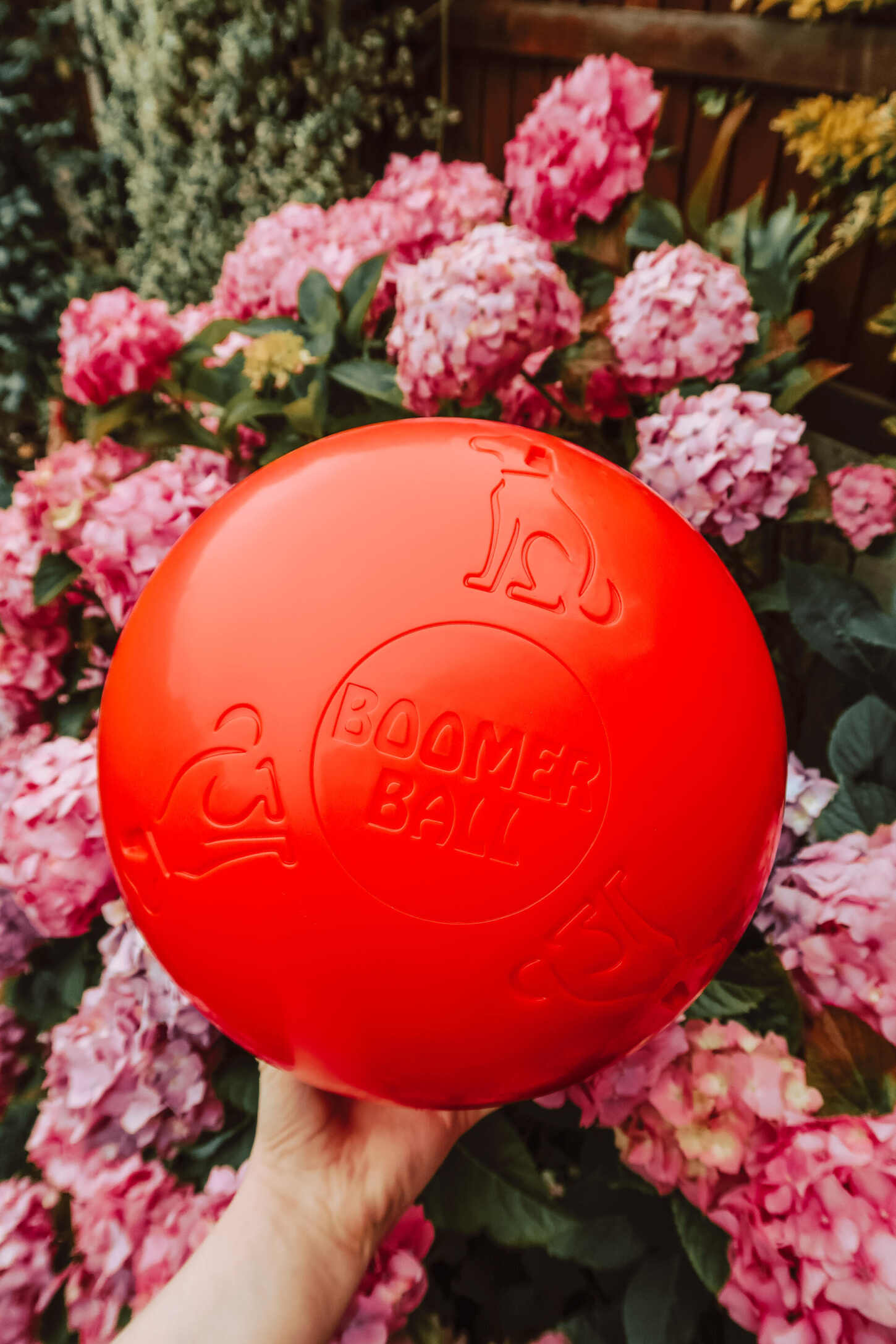 Boomer ball hot sale 8 inch