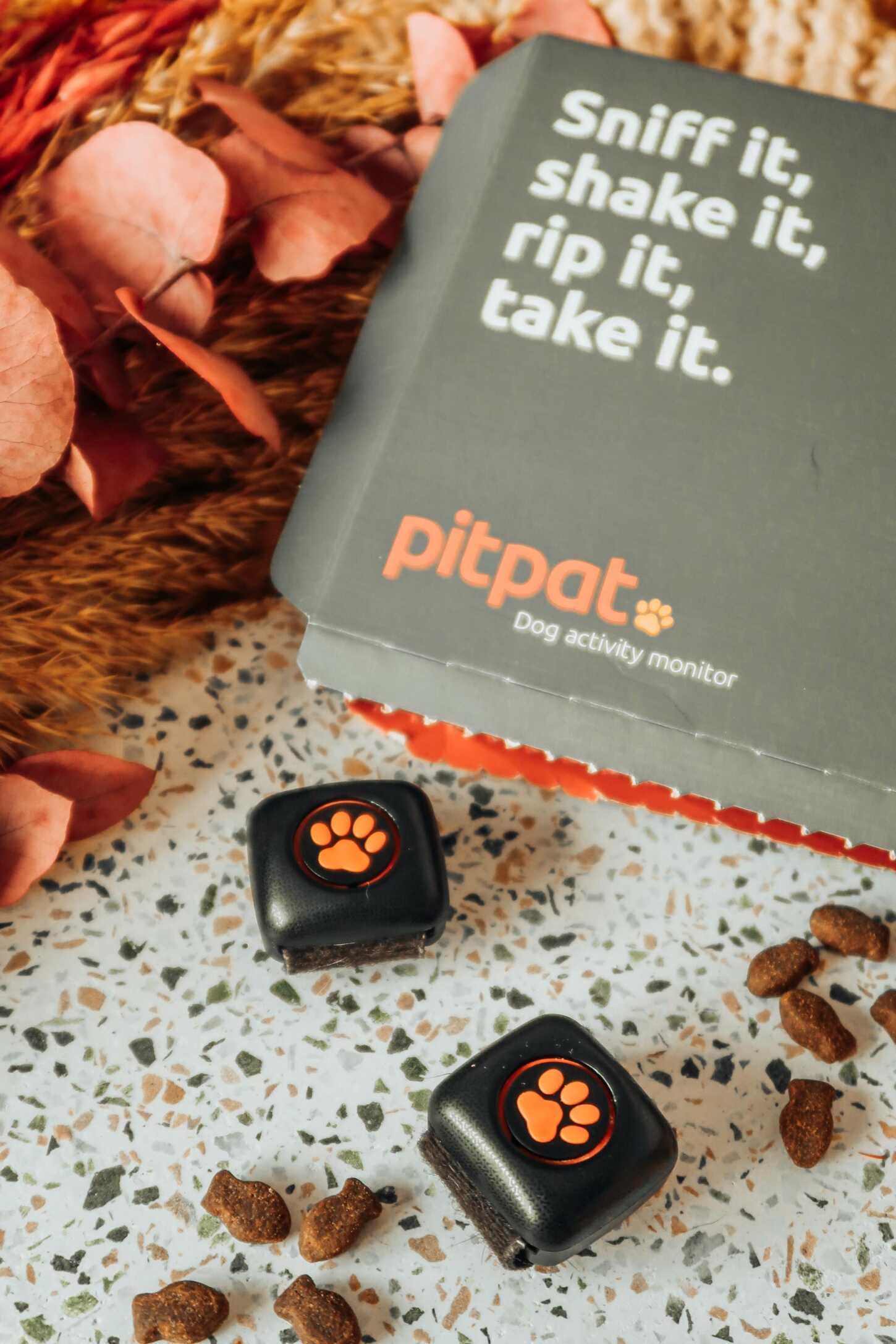 The best Christmas gifts for dogs 2023 - PitPat