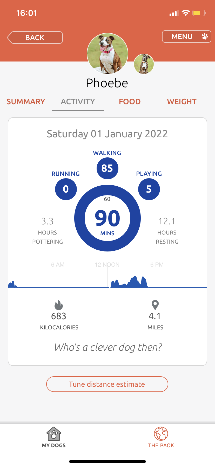 Pitpat dog outlet activity monitor tesco