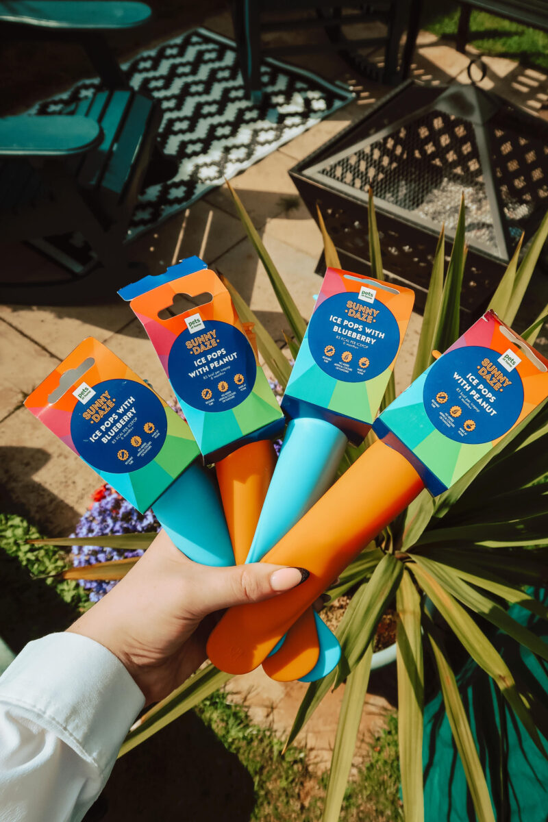 DIY dog ice lollies to keep cool in heat wave Lady & the Scamps