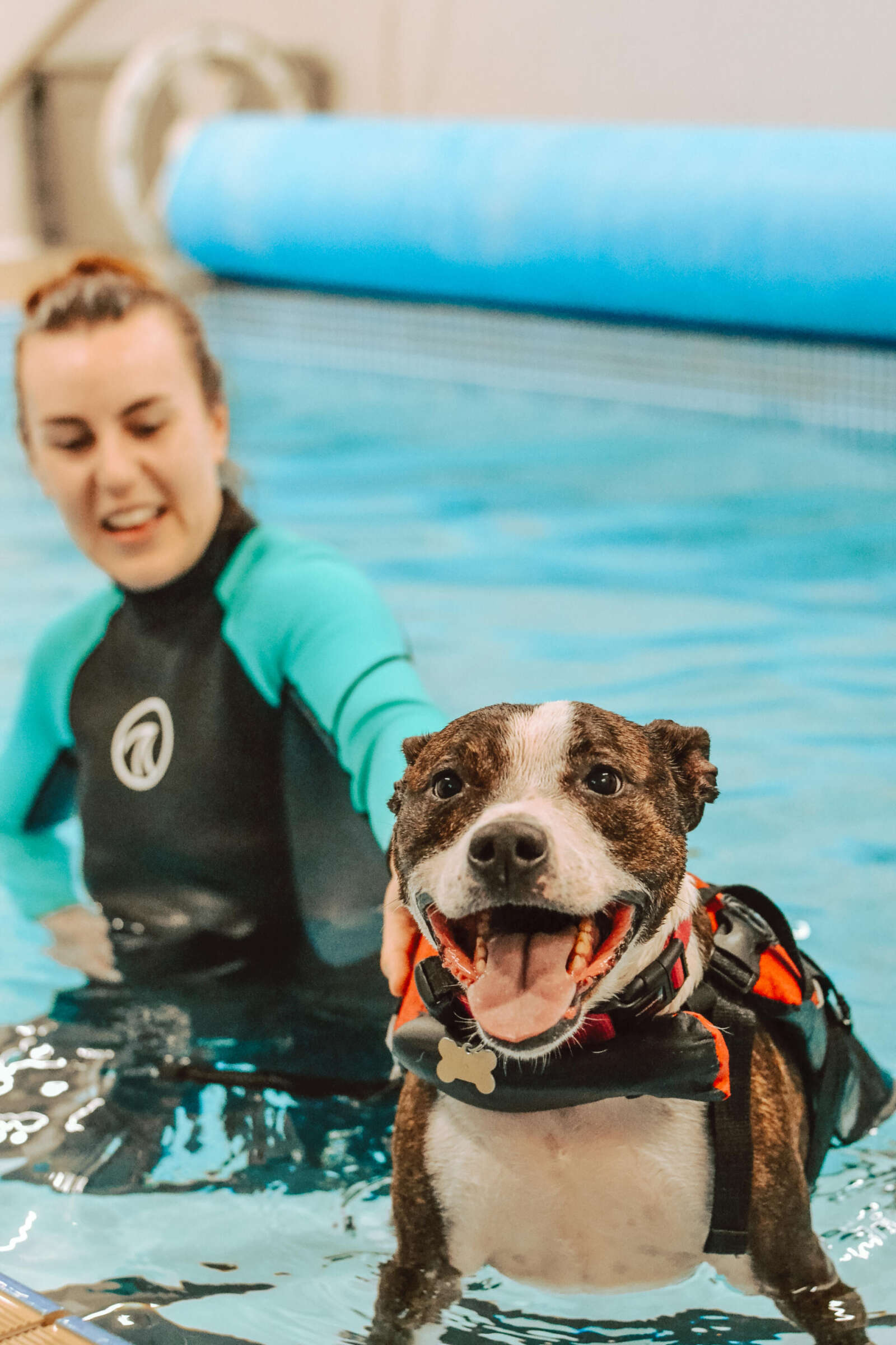 What happened when we tried hydrotherapy for dogs for the first time at ...