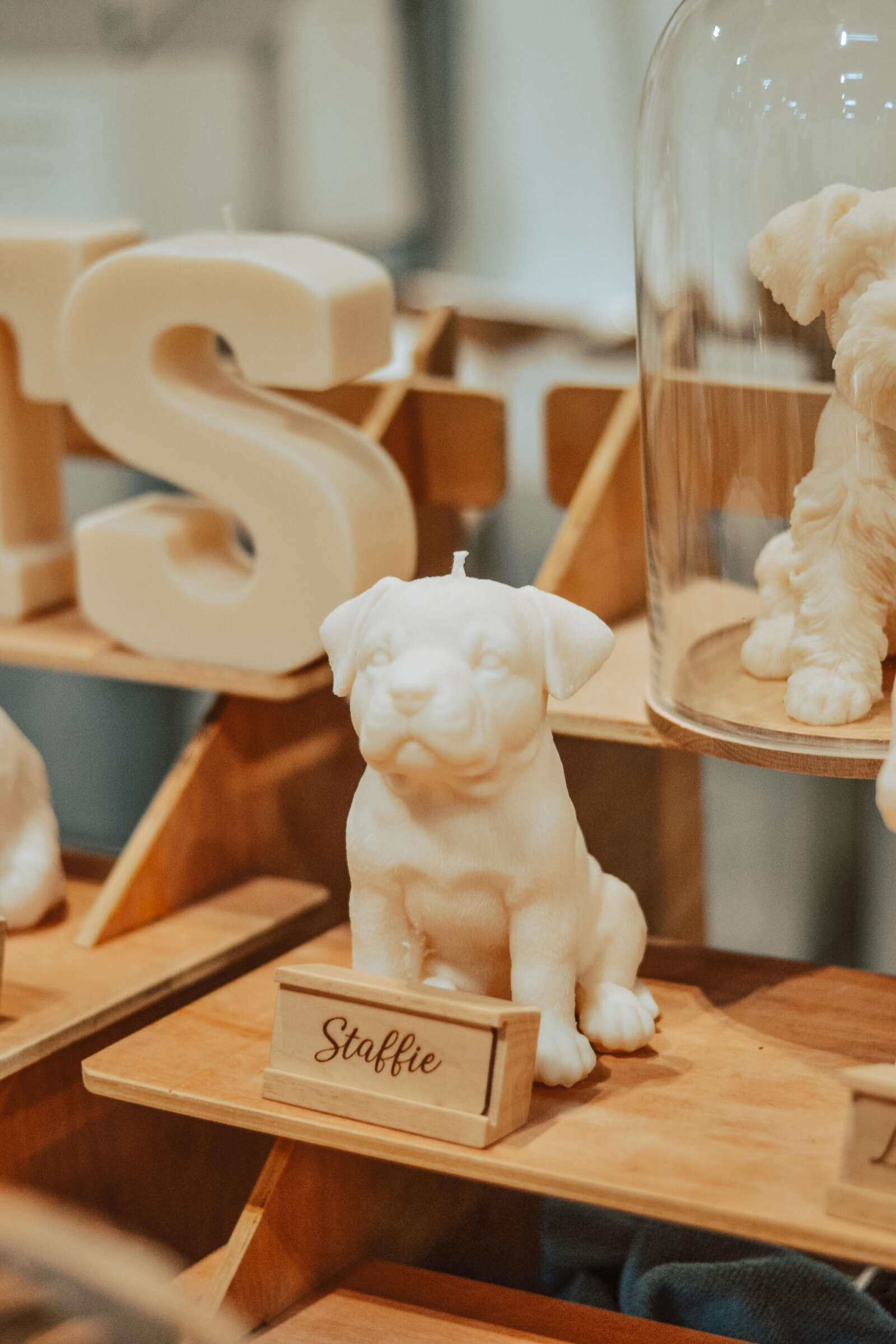 22 must visit stalls at Crufts 2023 and top tips for shopping at