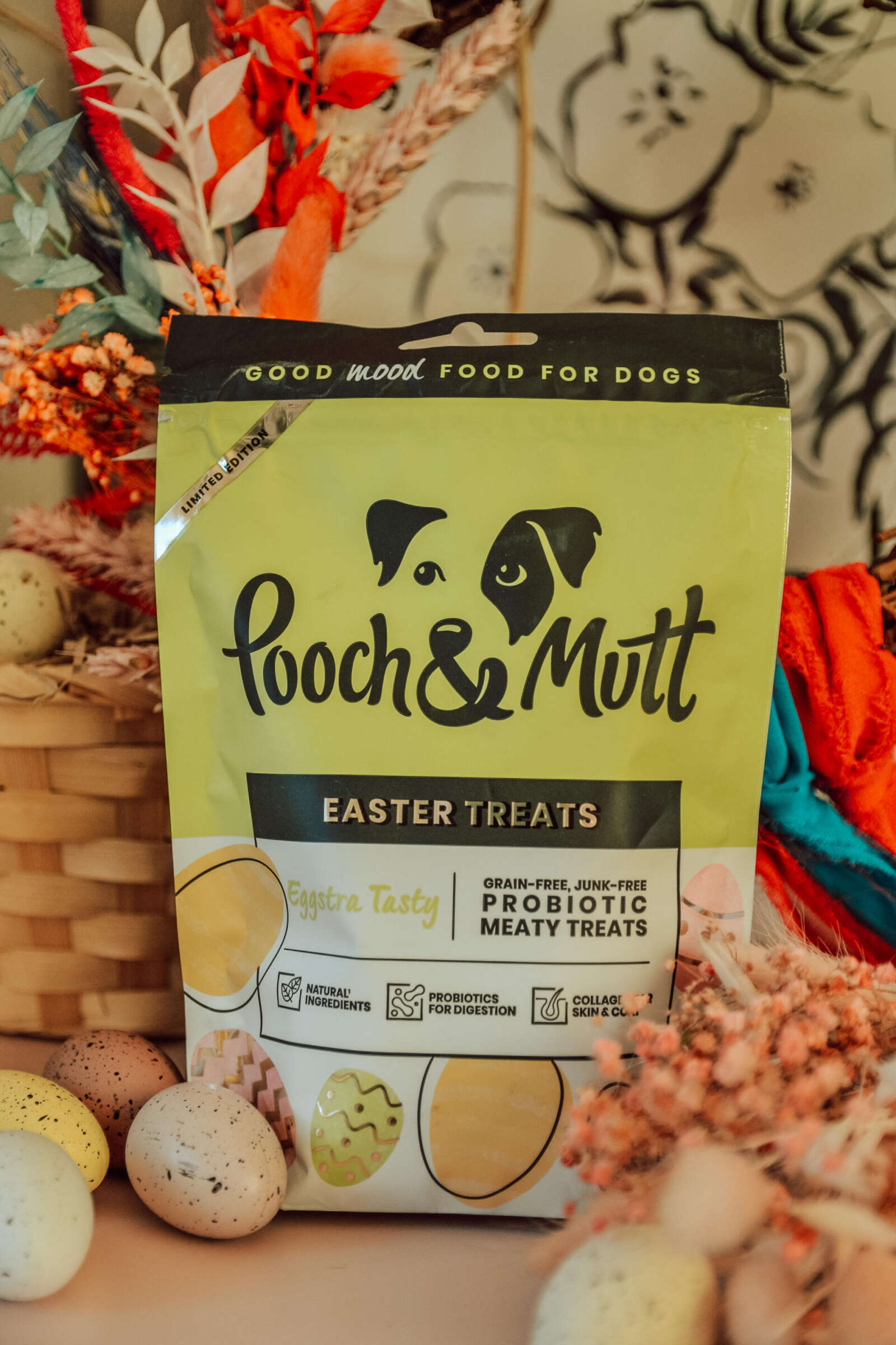 Pooch fashion and mutt treats