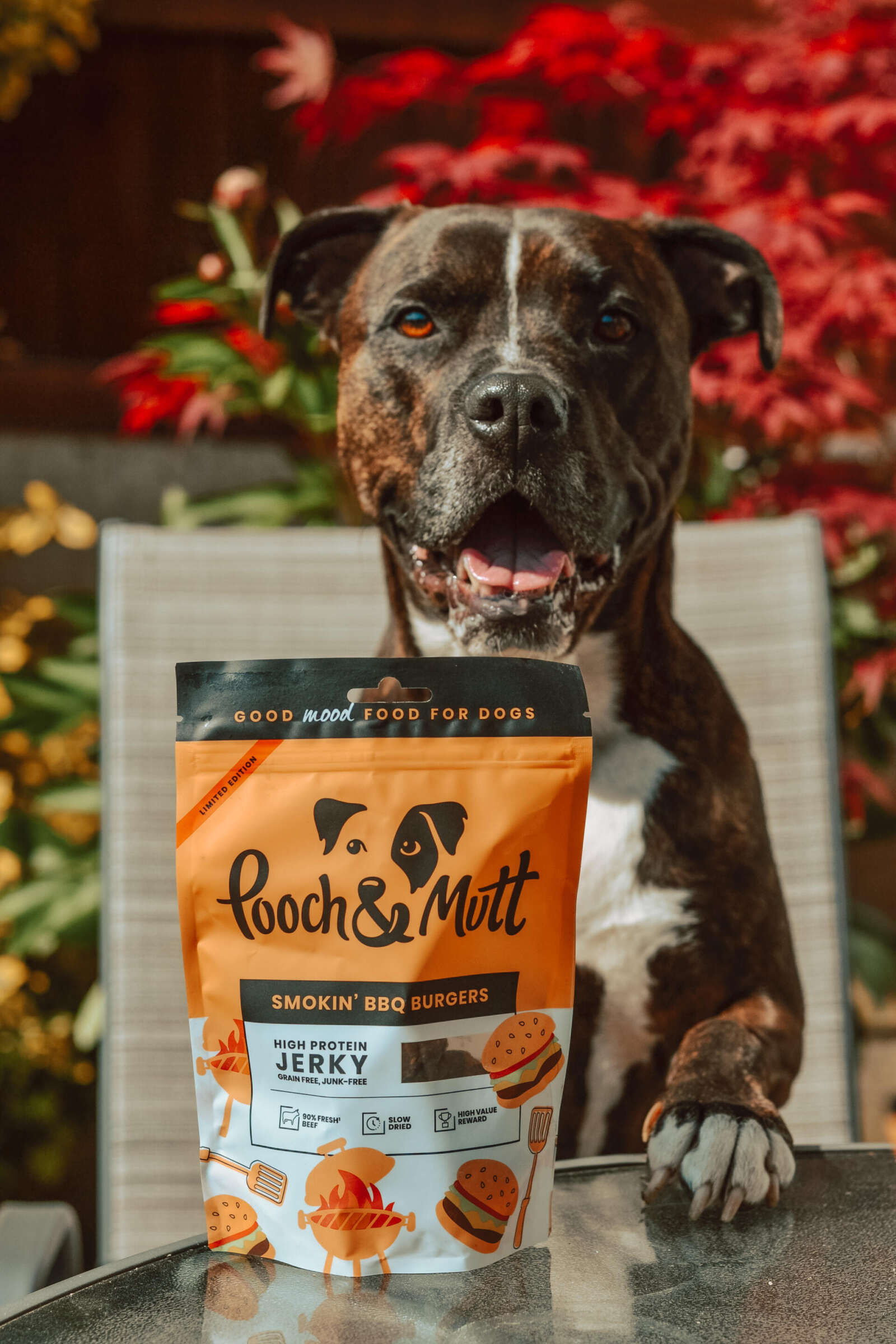 Pooch and mutt outlet dog treats