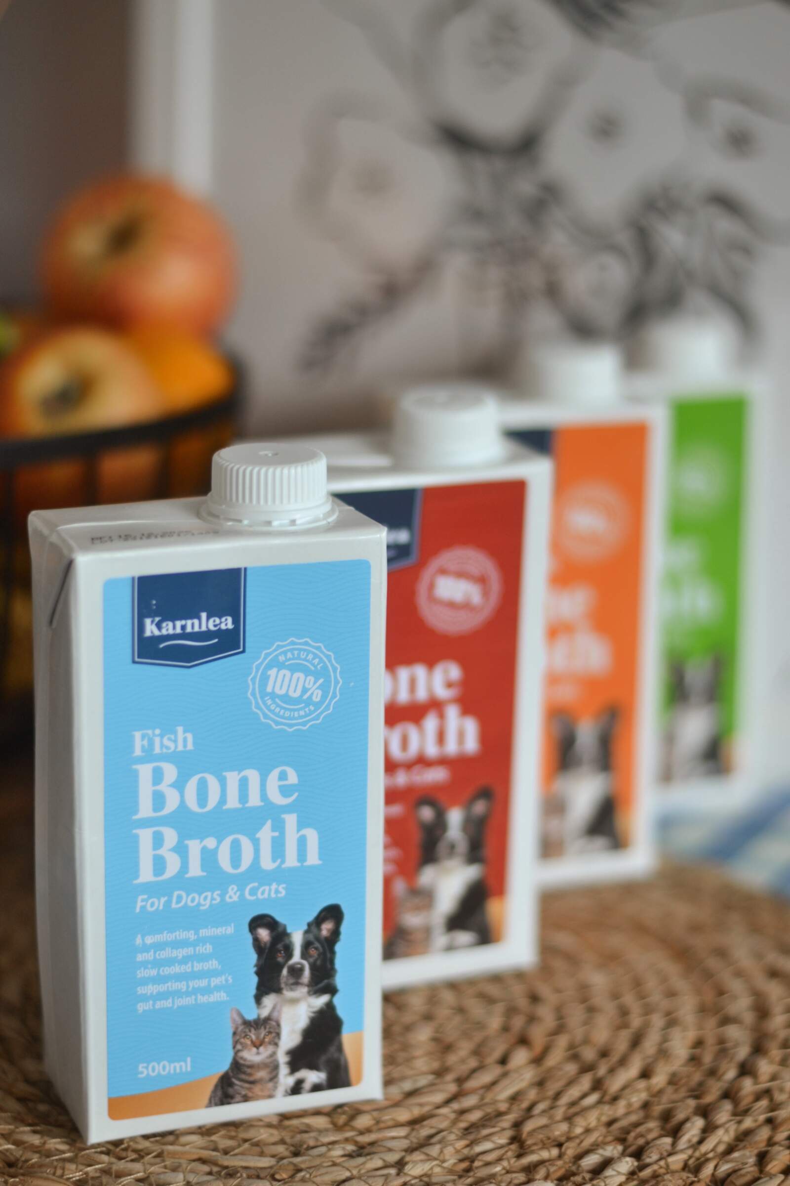 Fish broth fashion for dogs